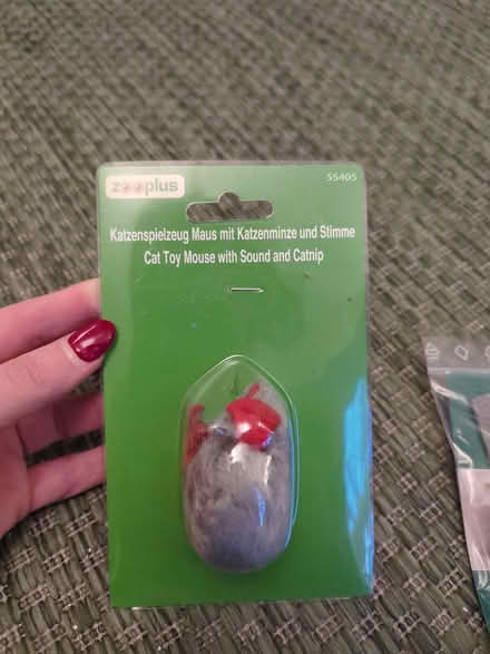 Photo of free Cat toys (Prenton CH43) #1