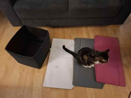 Photo of free IKEA fabric boxes (Hanworth TW13) #1