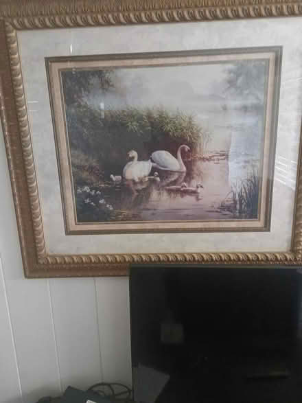 Photo of free framed art print of swans on a lake (Largo near Ulmerton & Starkey) #1