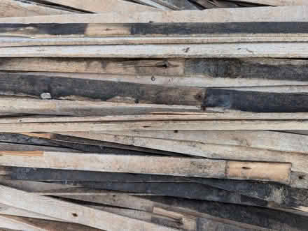 Photo of free Wooden laths from plaster walls. Kindling? (East End Park LS9) #2