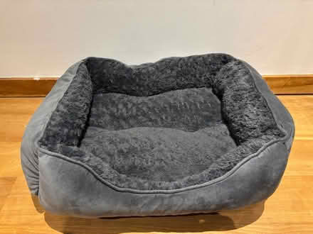 Photo of free Puppy / Dog Items (Battersea, SW11) #3