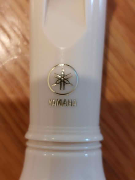 Photo of free Recorder Instrument (downers grove) #2