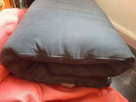 Photo of free Futon, single (Divinity Road OX4) #2