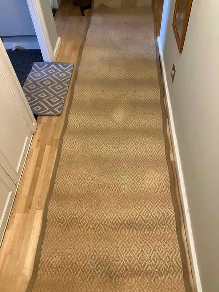 Photo of free Runner (Morningside EH10) #1