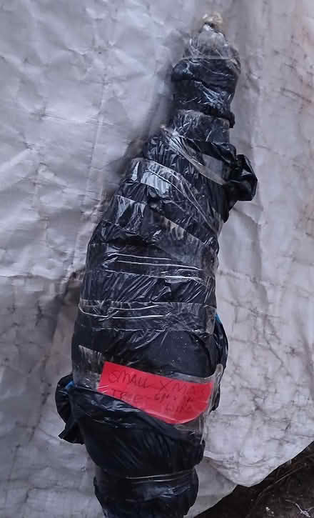 Photo of free 6ft faux christmas tree (Sharon hill, PA) #2