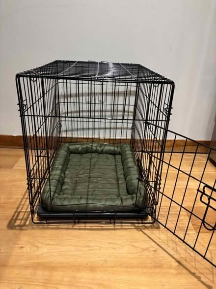 Photo of free Puppy / Dog Items (Battersea, SW11) #1
