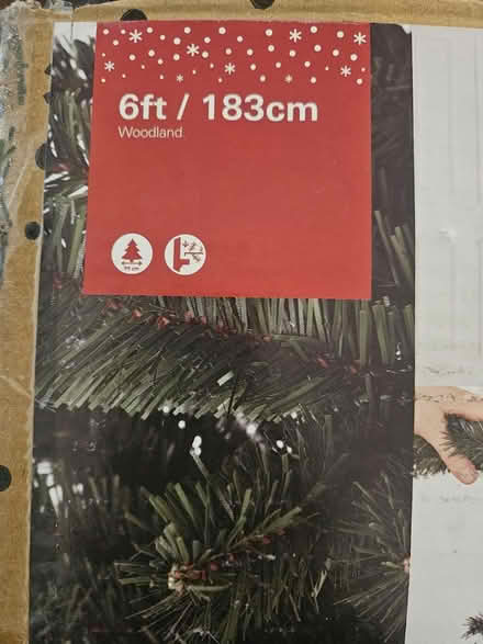 Photo of free 6ft Christmas tree (Hall green) #4