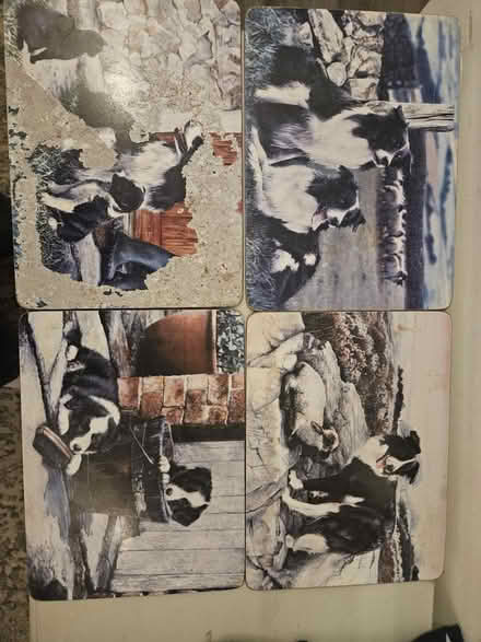 Photo of free Four placemats (Bracknell, RG12) #1