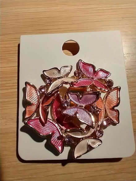 Photo of free Magnet brooch (Endmoor LA8) #1