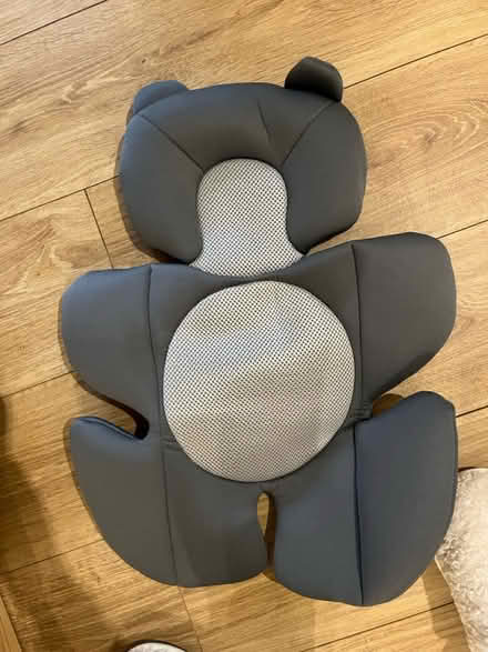 Photo of free New born insert for car seat (Brixton Hill SW2) #1