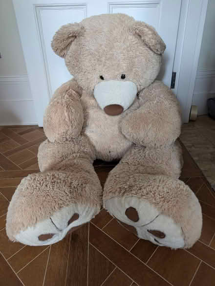 Photo of free Huge Teddy Looking For New Home (Holland Park W11) #1