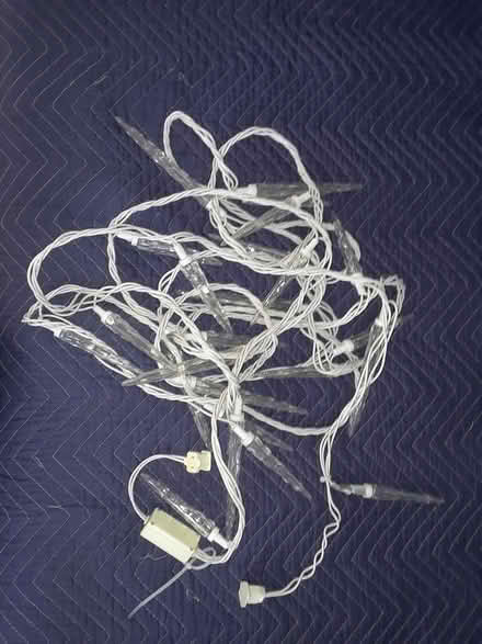 Photo of free Christmas lights (Champlain Park/Westboro) #1