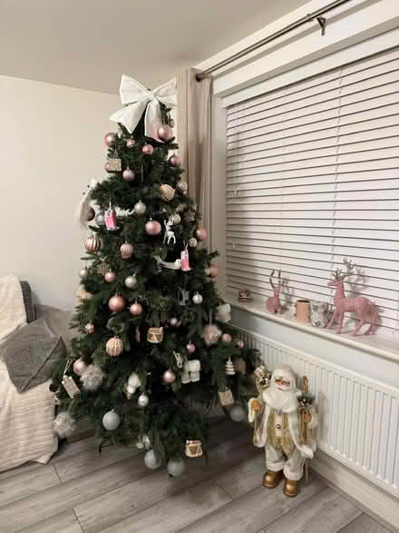Photo of free Christmas tree (Parson's Heath CO4) #1