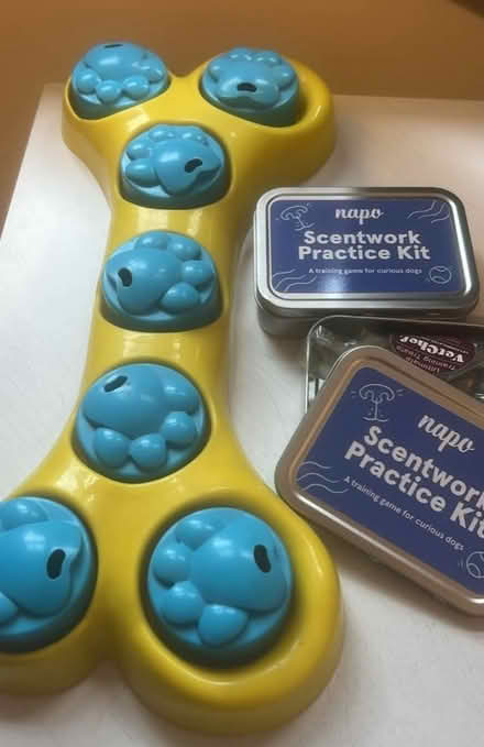 Photo of free Dog scent games (Belle vue Shrewsbury) #1