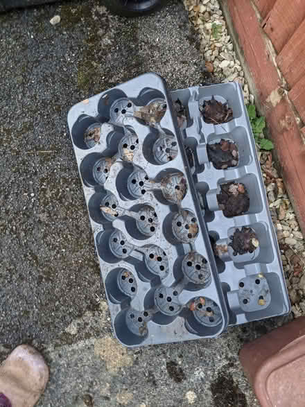 Photo of free Two plant pot trays (Horspath OX33) #1