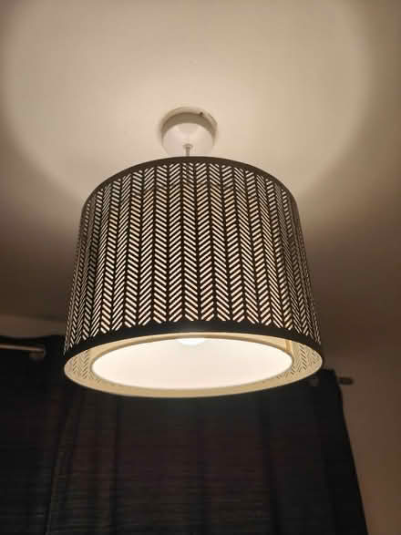 Photo of free Lampshade (Frome BA11) #1