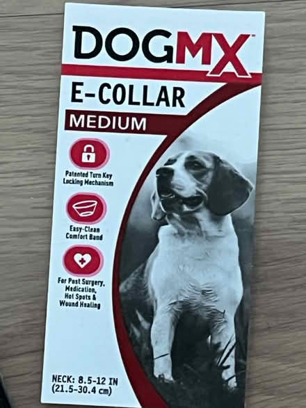 Photo of free New Dog cone/collar (Lansdale) #2