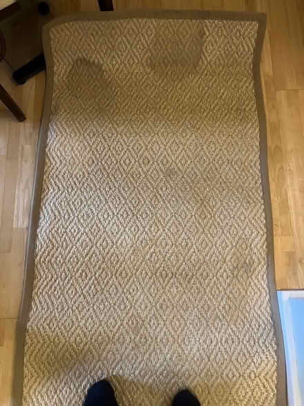 Photo of free Runner (Morningside EH10) #3