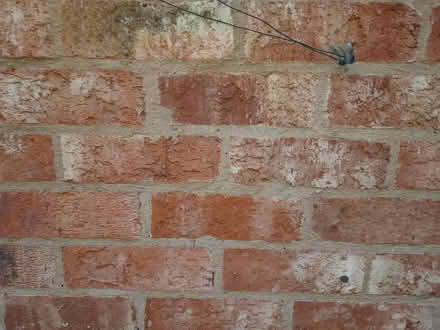 Photo of Dozen large red bricks (Malvern Wells (WR14)) #2