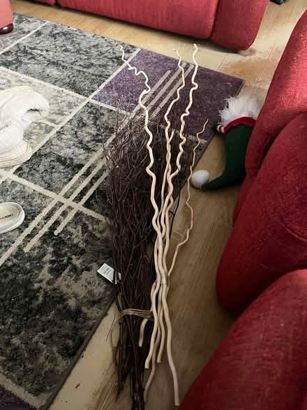 Photo of free Twigs (Ipswich IP2) #1