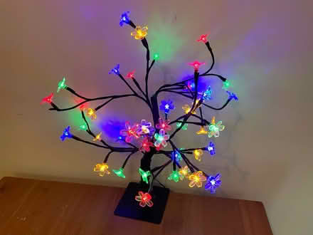 Photo of free Light up cherry tree (plug in) (Bishop’s Stortford) #1