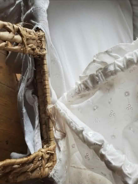 Photo of free Moses basket (Splott CF24) #1