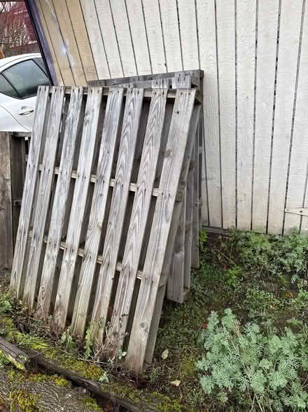 Photo of free Wooden pallets (Central district) #2