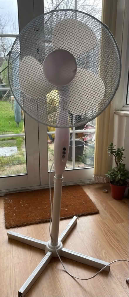 Photo of free Pedestal fans x 2 (Earley RG6) #1