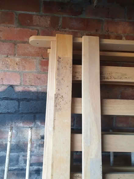 Photo of free Sofa Bed - Futon type (Trowbridge BA14) #3