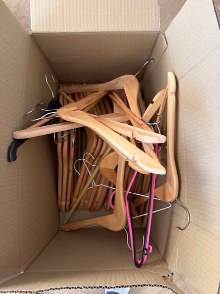 Photo of free Hangers (St Margarets TW1) #1