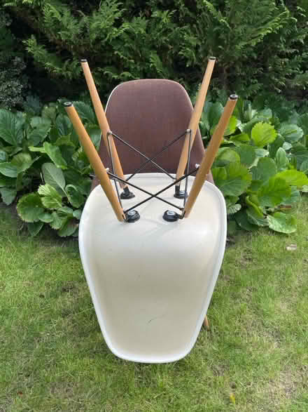 Photo of free Eames dining chairs x 2 (Banstead) #4