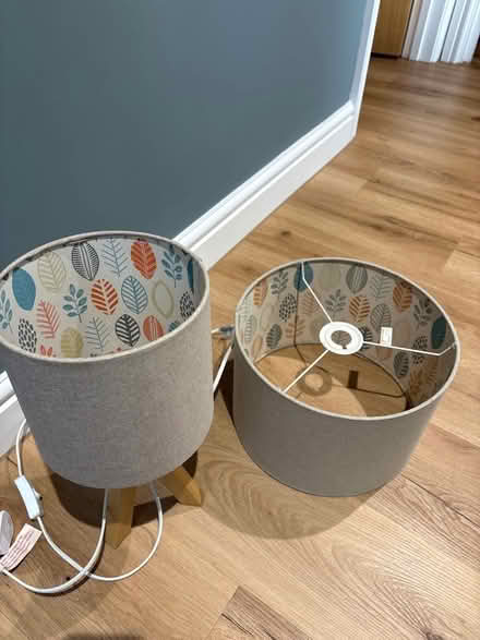 Photo of free Matching bedside lamp and ceiling shade (Waterlooville PO8) #1