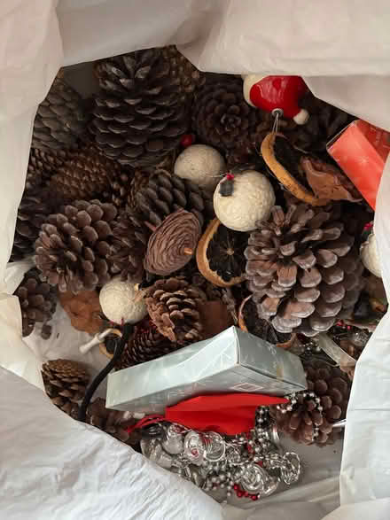 Photo of free Bag of pine cones (Barton, oxford OX3 9) #1