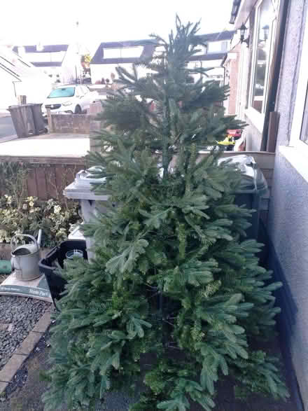 Photo of free Artificial Christmas tree (Bolton le Sands LA5) #1