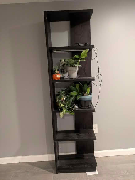 Photo of free Shelf with plant lights (Petworth) #1
