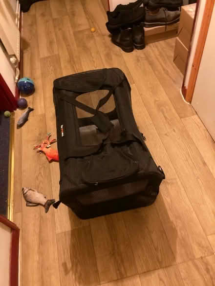Photo of free Cat or small dog carrier (Cambridge CB4) #1