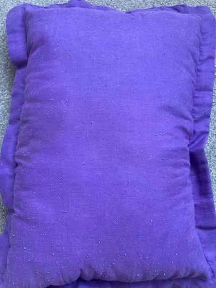 Photo of free Small purple travel pillow (Lewes BN7) #1
