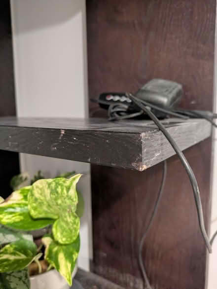 Photo of free Shelf with plant lights (Petworth) #2