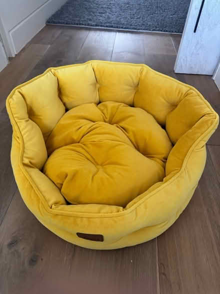 Photo of free Cat bed (TW9) #1