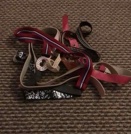 Photo of free Children belts (Thornton Heath CR7) #1