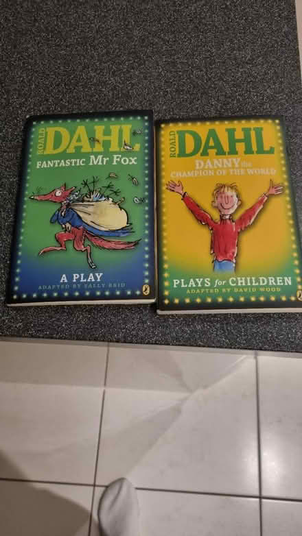 Photo of free Roald Dahl Play Adaptation Books (Locksheath SO31) #1