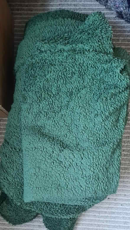 Photo of free Green Teddy bear duvet (ME1) #1