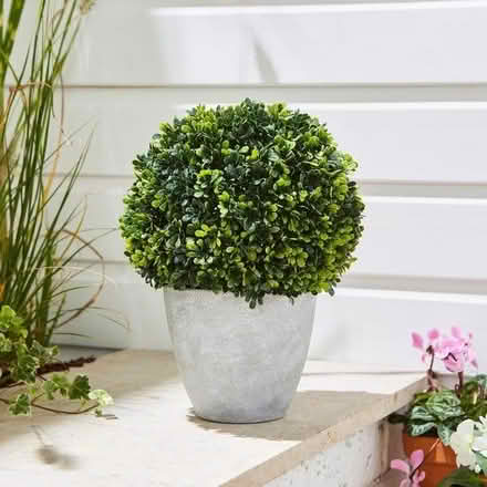 Photo of Artificial Indoor or Outdoor plants (Florence Park OX4) #1