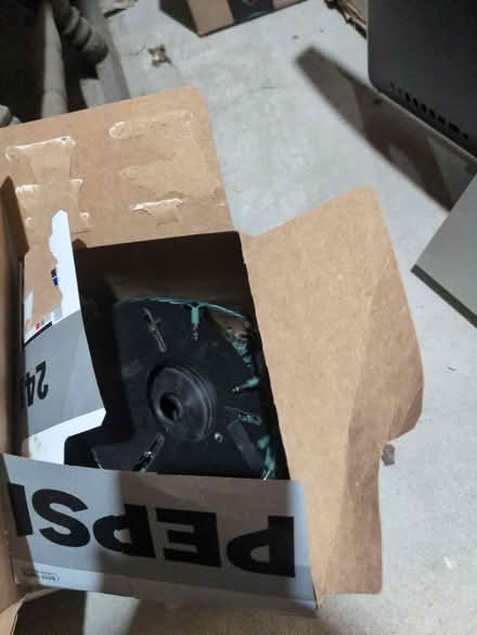 Photo of free Mini Incandescent Christmas Lights (Salem, NH) #2