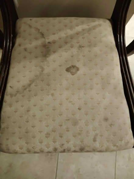 Photo of free 3 matching dining /kitchen chairs (Jericho OX2) #3