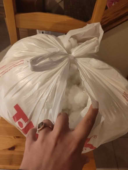 Photo of free Bag of pillow stuffing (St Clair Shores) #1