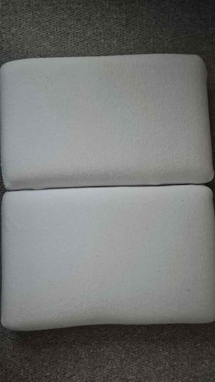 Photo of free Panda memory foam pillows (Figge's Marsh CR4) #2