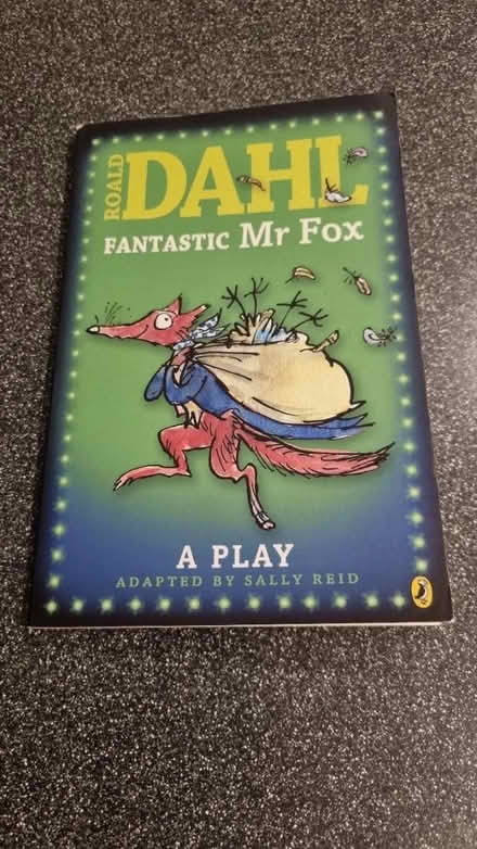 Photo of free Roald Dahl Play Adaptation Books (Locksheath SO31) #4