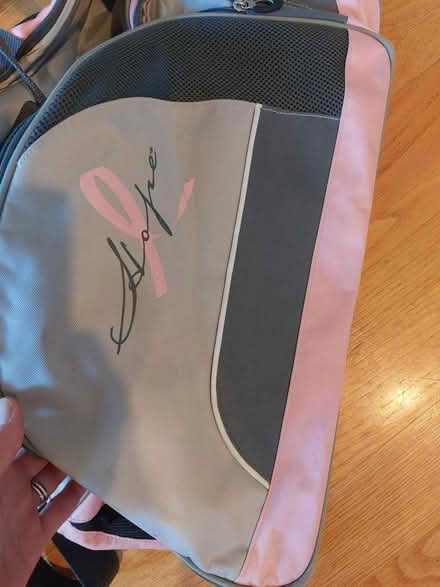 Photo of free Pink and grey duffel bag (downers grove) #4
