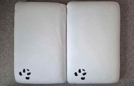Photo of free Panda memory foam pillows (Figge's Marsh CR4) #1